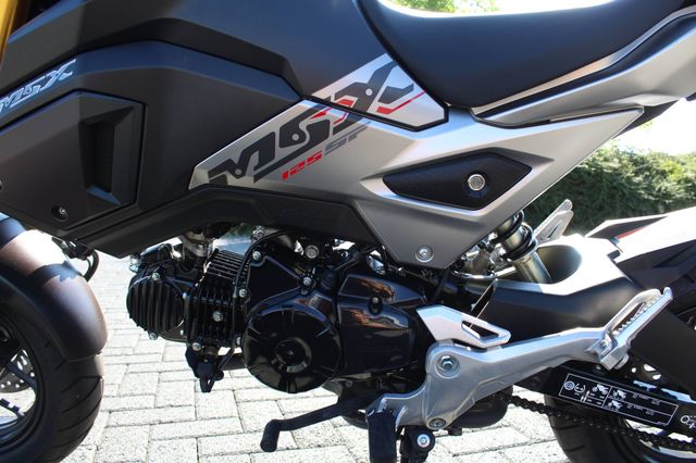 Honda Grom *inkl. Zubehör