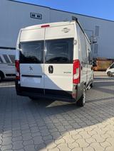 Carado CV540 Entry Markise - Carado Neu