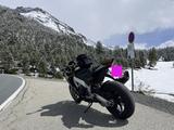 Aprilia Tuono Factory, Rizoma, R&G, optional Akrapovic - APRILIA TUONO R FACTORY