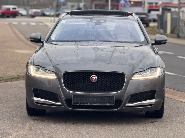 Jaguar XF Portfolio NAVI VOLLLEDER EURO 6W PANORMADACH