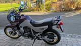 Honda Transalp XL 600V PD 06 - HONDA TRANSALP PD06