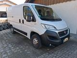 Fiat Ducato Transporter - Fiat Ducato mit Diesel-Antrieb: Kombi