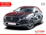 Mazda CX-30 2.0 M-Hybrid Selection 2WD LED Navi ACC - Mazda CX-30 in Dresden