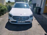 Mercedes-Benz B 250 DCT - AHK.    Junge Sterne Garantie!!! - Mercedes-Benz: Junge Sterne