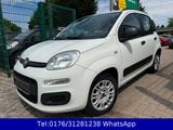 Fiat Panda My Panda 1.3 !! Tüv-Neu !! Klima - Fiat Panda Gebrauchtwagen in Berlin