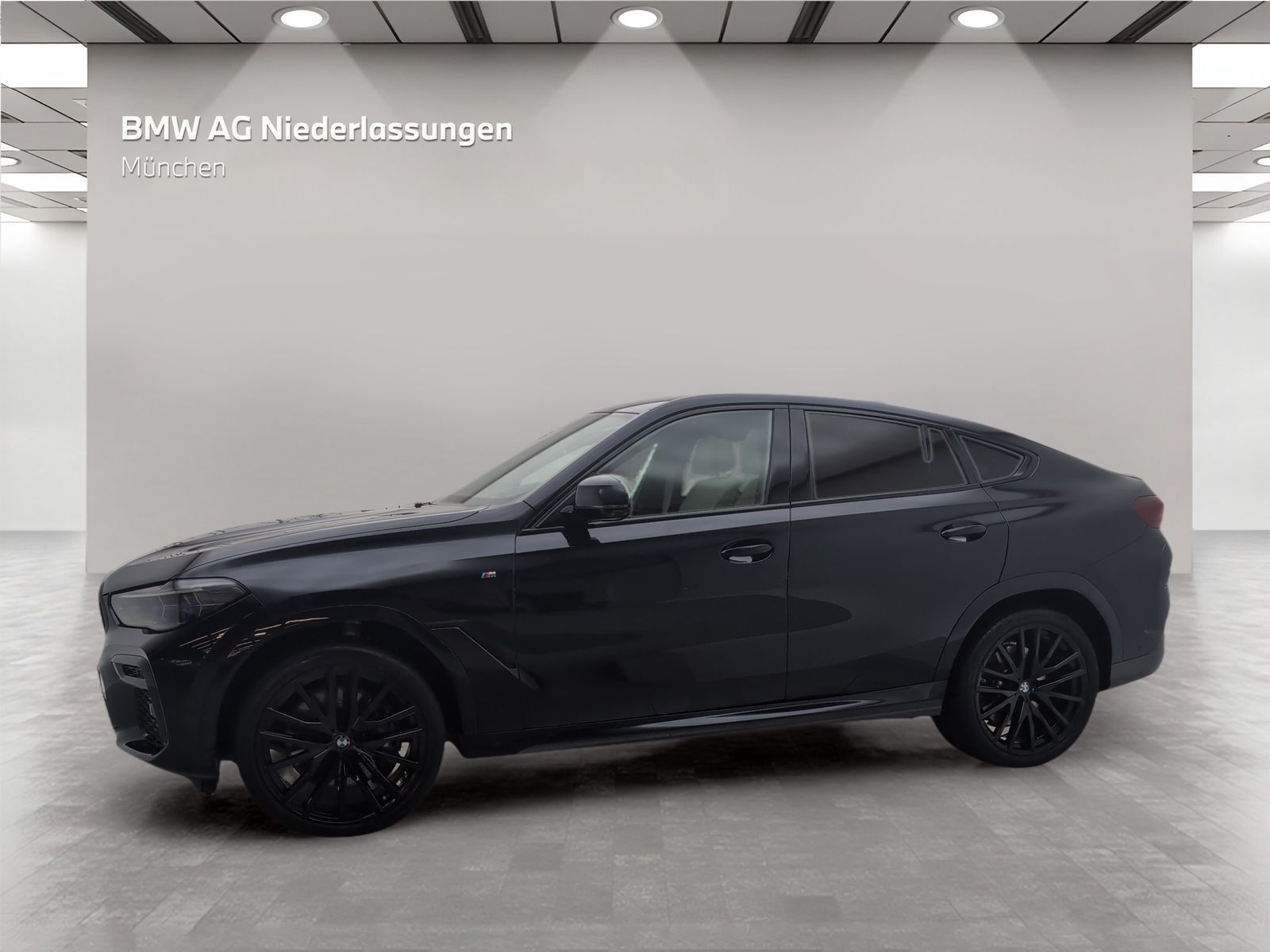 BMW X6 xDrive40d M Sport AHK Driv.Assist.Prof Laser foto 2