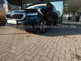 Skoda Karoq 2.0 TDI DSG 4x4 Tour - Gebrauchtwagen in der Nähe & deutschlandweit