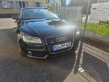 Audi A5 2.7 TDI (DPF) multitronic Cabriolet - - Audi A5: 2.7