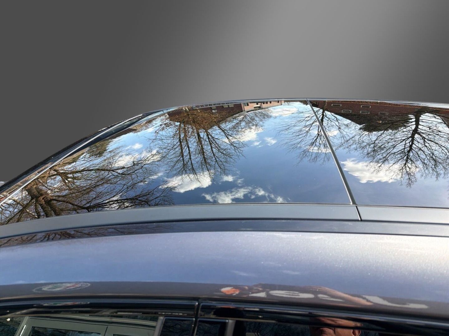 Fahrzeugabbildung Alfa Romeo Stelvio Veloce Q4 2.0 Turbo - AHK - 21 Zoll- Pan