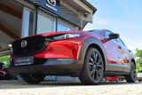 Mazda CX-30 2.5 140PS Nagisa BOSE® Voll-LED Navi Kamer - Mazda Neuwagen: Geländewagen