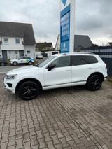 Volkswagen Touareg V6 TDI-Executive Edition-Tausch Mo... - Volkswagen Touareg: Executive Edition