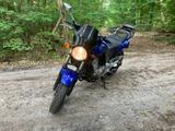 Honda Cbf500 - Offers