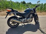 Honda CBF 500 PC39 ABS - HONDA CB 500