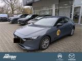 Mazda 3 Homura Kamera|NAV|Klimaaut.|SHZ|CarPlay|LED - Mazda 3 in Bielefeld