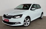 Skoda FABIA STYLE (110-PS) ÖL+ZR/WP+GETRIEBEÖL NEU - Behindertengerechte Skoda Fabia