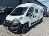 Robeta Ares Citroen Jumper - Offers