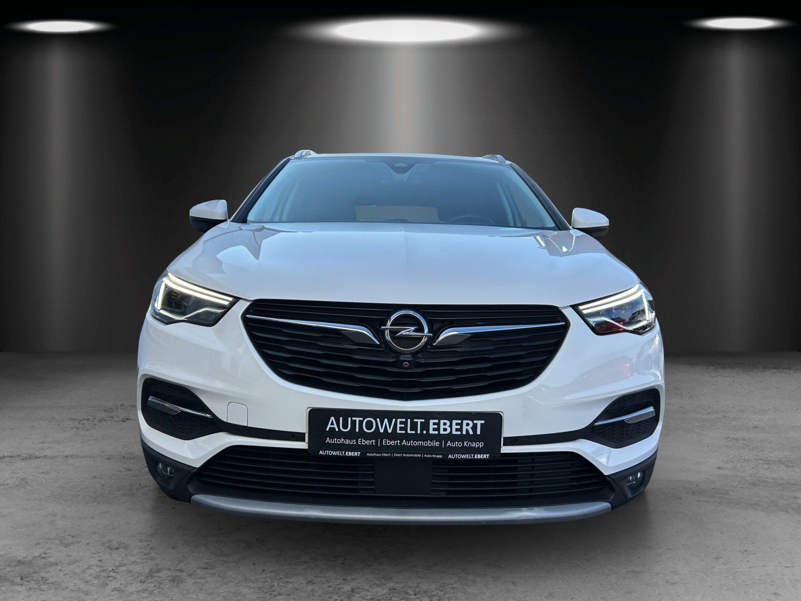 Fahrzeugabbildung Opel Grandland X 2.0 CDTI Aut./Bi-LED/ACC/360°/AHK/