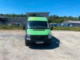 Ford Transit Hochdach Transporter Camper g... - Ford: Transport