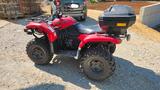 Yamaha Grizzly 660  Reifen neu, Motor komplett überholt - YAMAHA QUAD
