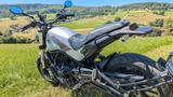 Benelli Leoncino 500 - BENELLI LEONCINO