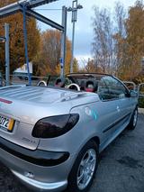Peugeot 206 - Peugeot 206 Gebrauchtwagen in Kassel