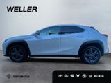 Lexus UX 250h Style Edition *Bi-LED*ACC*CAM*SHZ*CarPla - Lexus