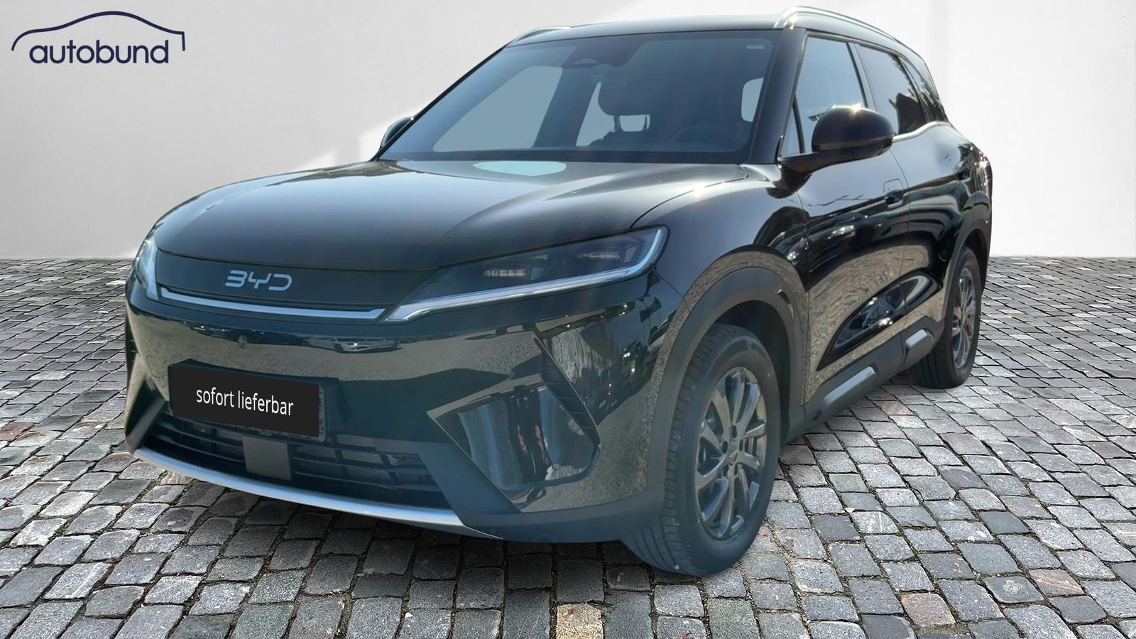 BYD ATTO 2