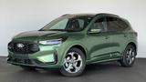 Ford Kuga III 1,5 Automatik ST-Line Alu DAB LED Navi 