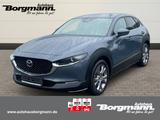 Mazda CX-30 Exclusive-Line 2.0 LED - Rückfahrkamera -  - Mazda CX-30 Exclusive-Line mit Benzin-Antrieb