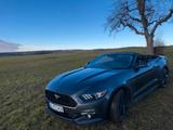 Ford Mustang 2.3 EcoBoost - - Ford Mustang in Stuttgart