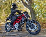 Suzuki Gladius SFV 650 - SUZUKI GLADIUS SFV 650