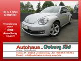 Volkswagen New Beetle 2.0TSI Sport Navi DSG SHZG PDC - VW New Beetle Gebrauchtwagen