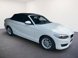 BMW 218i Cabrio/16Z/KLIMA-AUTO/ - BMW: 16