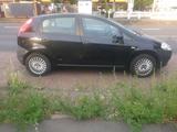 Fiat Punto in gutem Zustand zu verkaufen ... - Fiat Punto: Ver