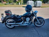 Yamaha XVS 1100 Drag Star Classic "wenig Kilometer" - YAMAHA XVS 1100 DRAG STAR CLASSIC