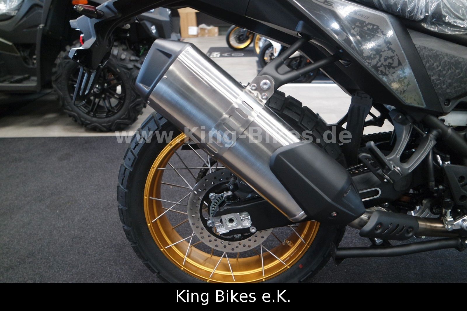 Fahrzeugabbildung VOGE 800DS RALLY/DS800X RALLY -Inkl. 3 Jahre Garantie