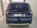 Ford Kuga 1.5 EcoBoost Titanium Navi - Ford Kuga: Titanium