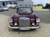 Mercedes-Benz 230.6 Universal I.M.A 7-Sitzer AHK Hekflosse1966 - Mercedes-Benz 230 aus 1966: 230s