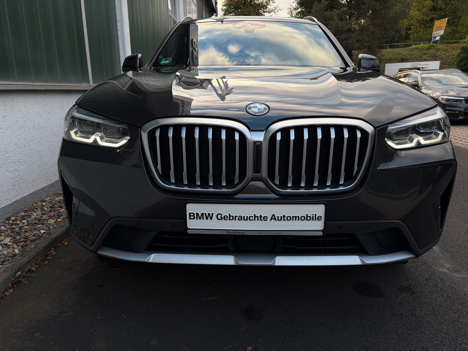BMW X3 xDrive 30e Ahk ACC Hifi Individual