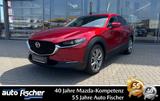 Mazda CX-30 2.5 (140PS) FWD Autom. Takumi Leder-S Allw - Mazda CX-30 Gebrauchtwagen in Frankfurt