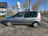 Skoda Roomster Style - Skoda Roomster: Style