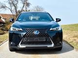 Lexus UX 250h Launch Edition  - Lexus UX Gebrauchtwagen
