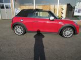 MINI Cooper S Cabrio - : Rot, Cabrio