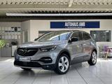 Opel Grandland 1.5 D Aut. Innovation Pano Kamera AHK - Opel Grandland (X) in Braunschweig