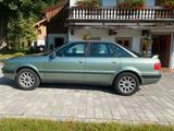 Audi 80 2.8 V6 Quattro - Audi 80 mit Benzin-Antrieb: Limousine, 2.6