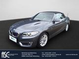 BMW 218 Cabrio/LuxuryLine/LED/Leder/Navi/EPH v/h/Sit - BMW: E21