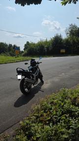 Suzuki SV650 / TÜV 09/26 / neue Reifen / fahrbereit - SUZUKI 650 R