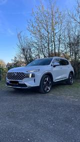 Hyundai SANTA FE 2.2 CRDi Prime 4WD DCT Prime 7 Sitze - Hyundai SANTA FE: 7