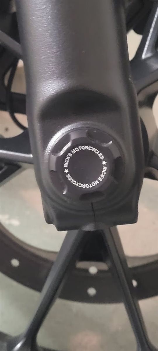 Fahrzeugabbildung Harley-Davidson Sportster S RH1250S