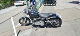 Harley-Davidson Dyna FXD - HARLEY-DAVIDSON 1999 DYNA